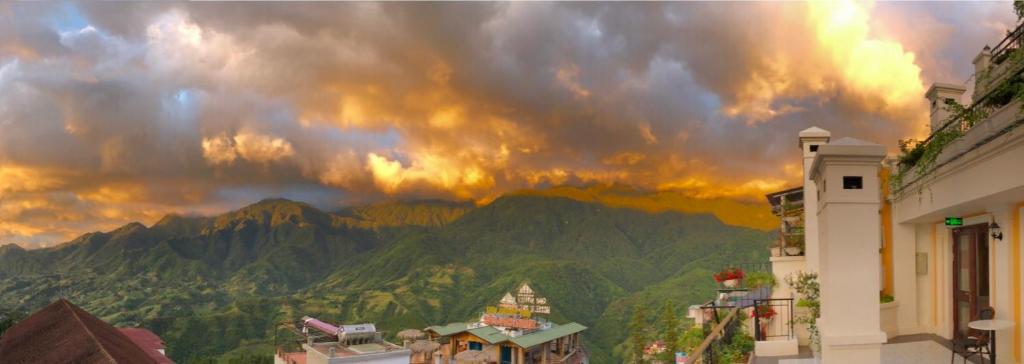 Cat Cat Galerie d’Art - 6