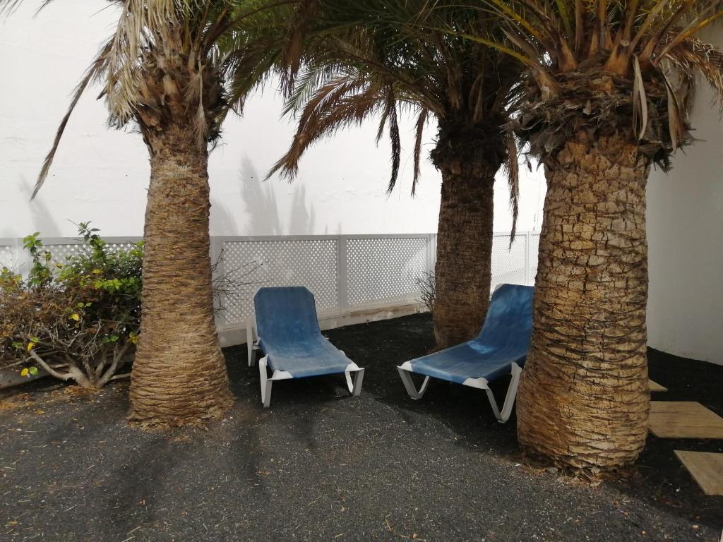 A seating area at Bungalow Mariano 140