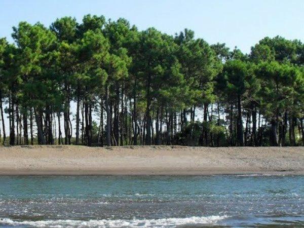 Fotografie z fotogalerie ubytování Grigoleti - Sea Forest House v destinaci Grigoleti