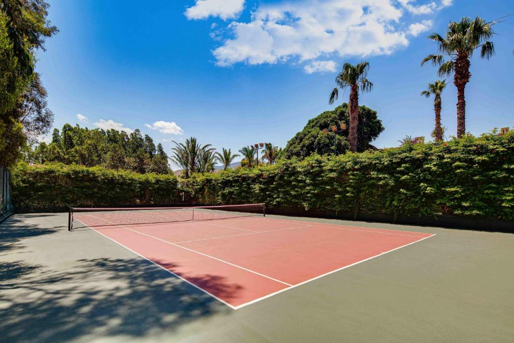 Tenis a/nebo squash v ubytování Divan Bodrum Palmira nebo okolí