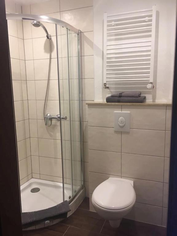 Koupelna v ubytování Zum weißen Ross
