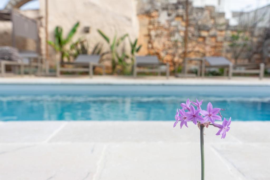 The swimming pool at or close to PALAZZO FRANGIPANE