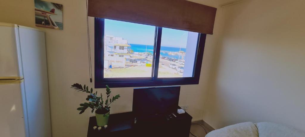 Zimmer mit einem Fenster und einem Tisch mit einer Pflanze in der Unterkunft STAY Trinity Beach Apts in Paralimni