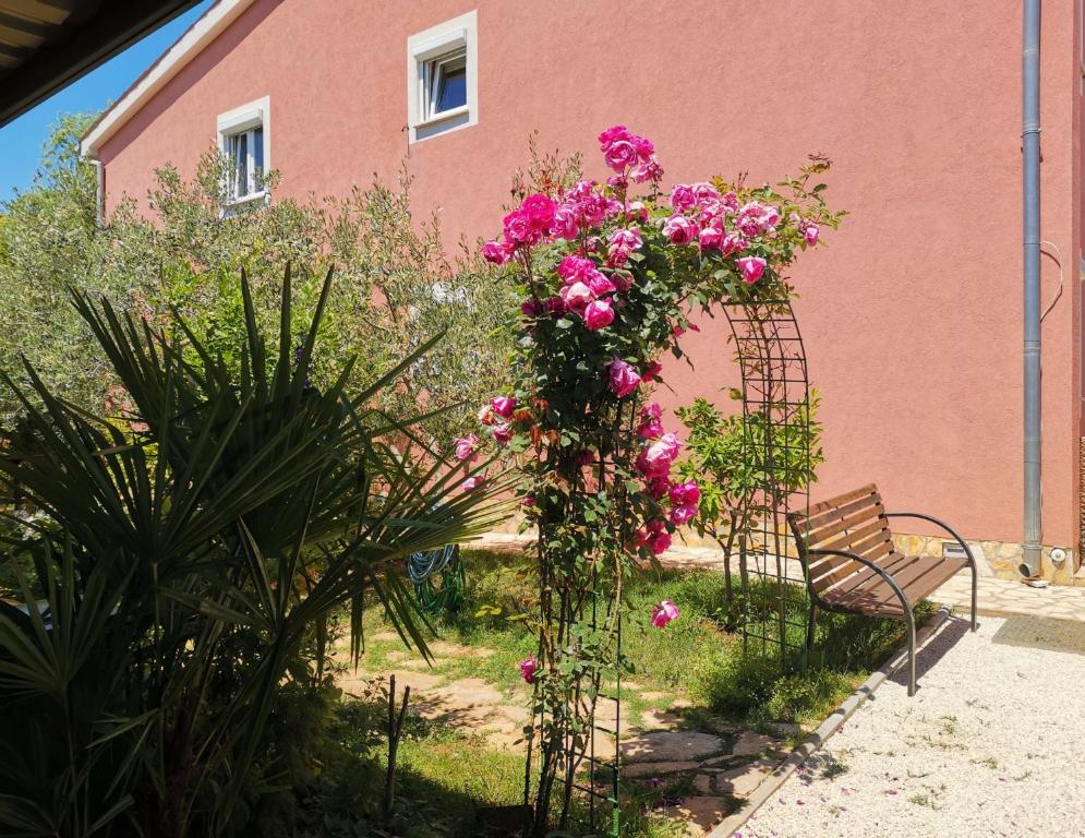 un jardin avec un banc et des fleurs devant un bâtiment dans l'établissement Apartments Babić, à Fažana