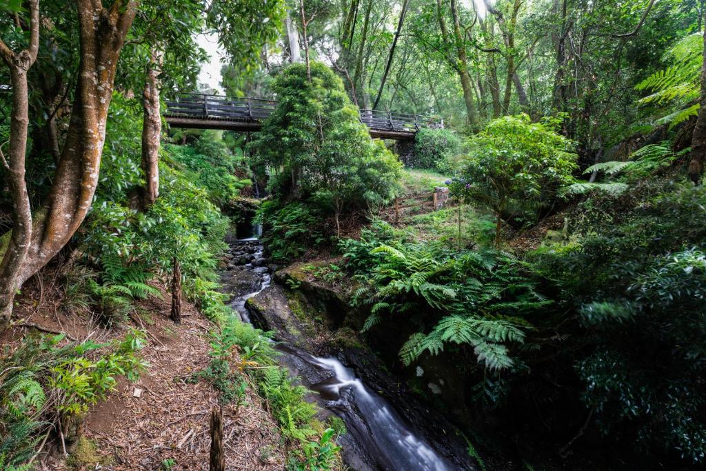 Angra Marina Hotel - Resim 26