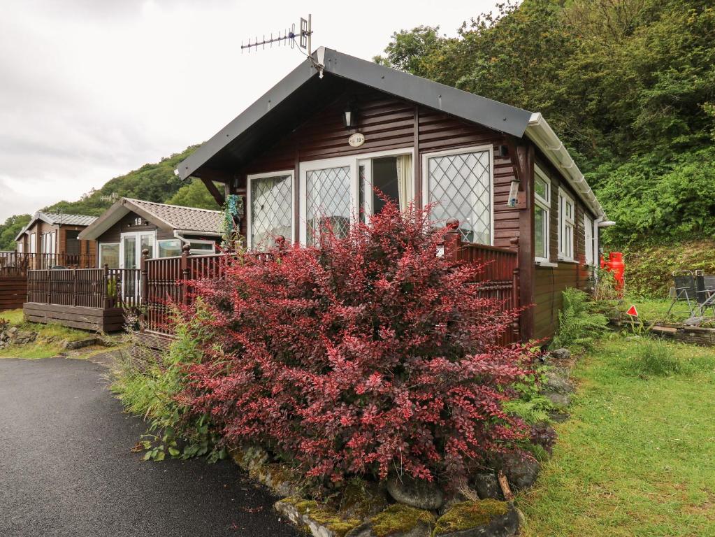 a small house with a red bush in front of it at Chalet 18 Smarty's View in Aberystwyth