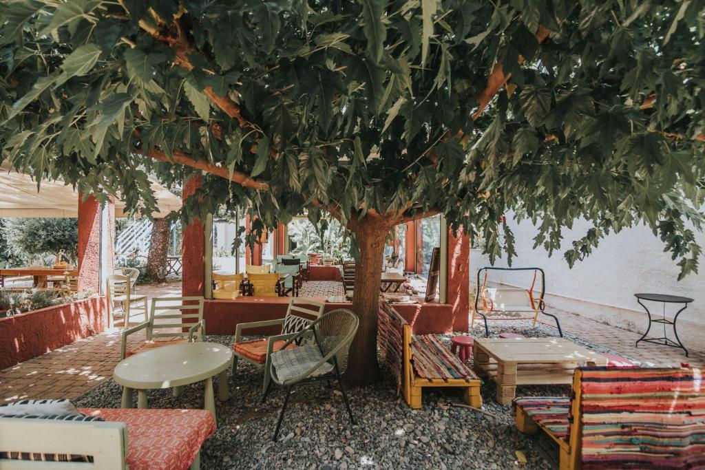 a group of tables and chairs under a tree at Saronis Hotel Agistri - Adults Only in Skala