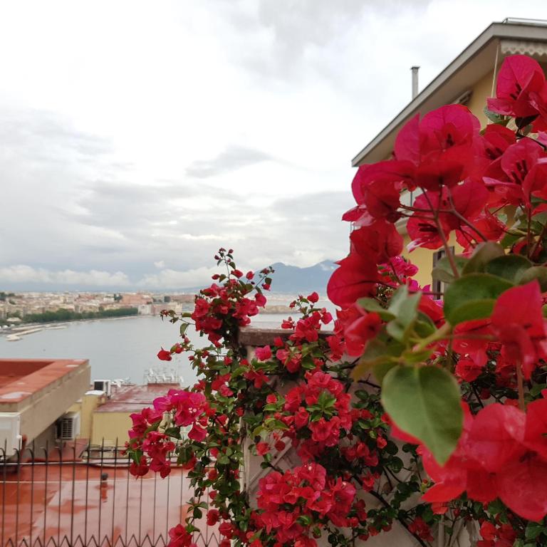 BW Signature Collection Hotel Paradiso - Resim 30