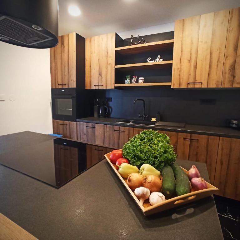 Kuchyň nebo kuchyňský kout v ubytování Modern family apartment ZARA