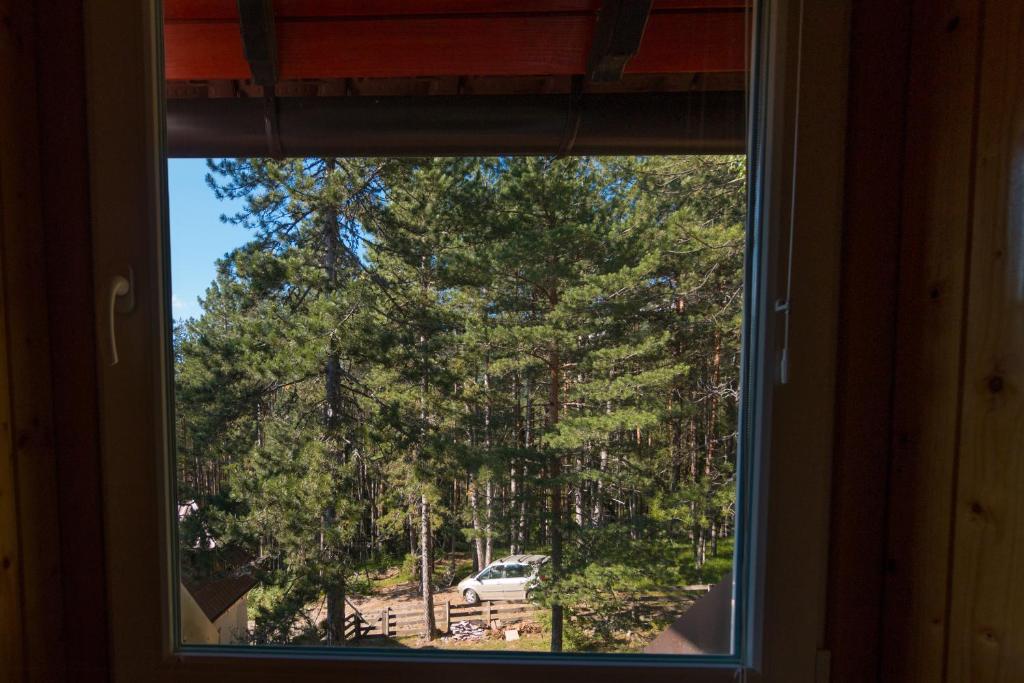 Paisatge natural a prop del lodge