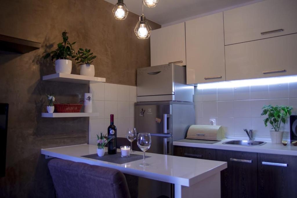 Kuchyň nebo kuchyňský kout v ubytování Apartman ANN