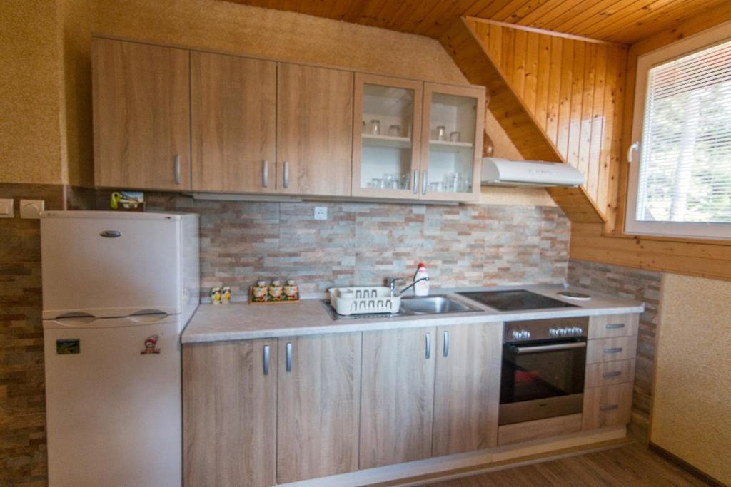 Cuina o zona de cuina de Zavičaj Apartmani3