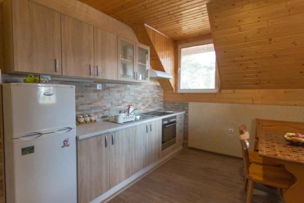 Cuina o zona de cuina de Zavičaj Apartmani3