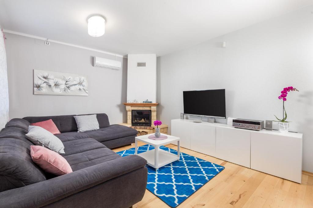 a living room with a couch and a tv at Touch of happiness apartment in Viskovo