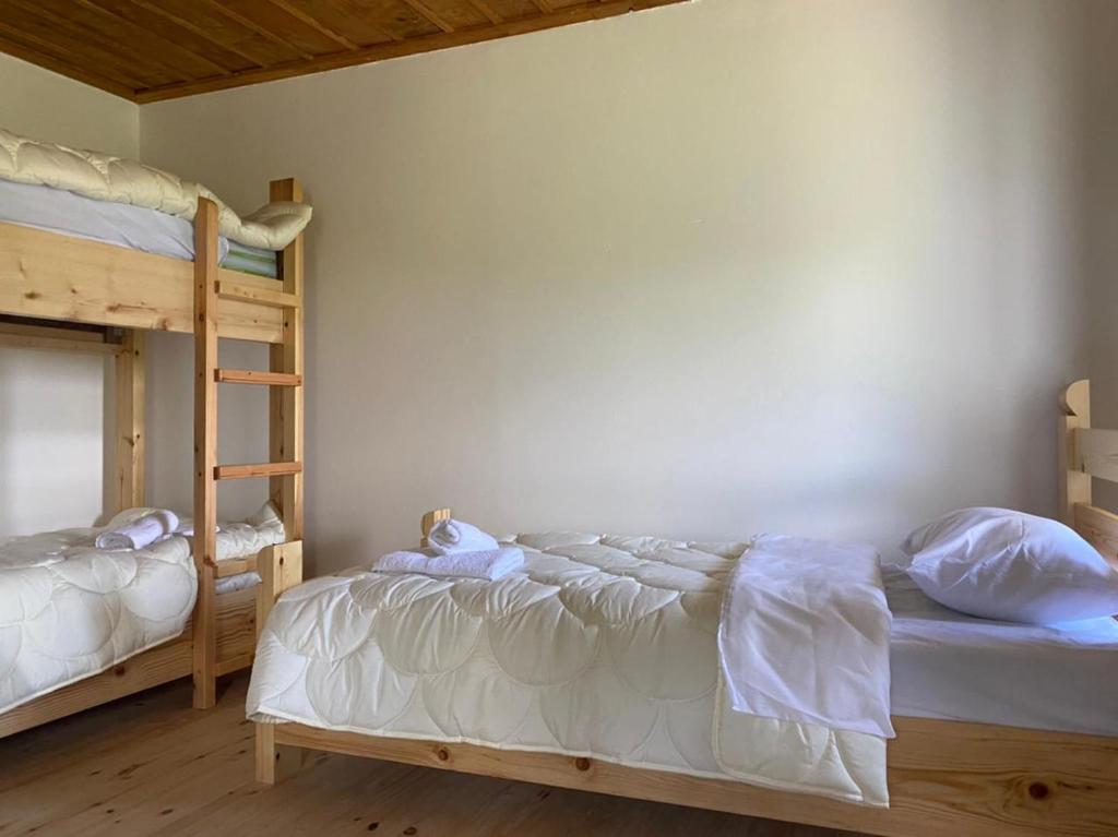 Guest House Qafe Dardha - Tomorr National Park - Image 2