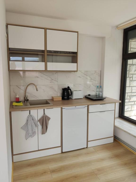 Kuchyň nebo kuchyňský kout v ubytování Apartamenty Monterska