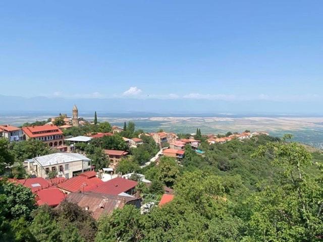a town on top of a hill with red roofs at Dzveli Ubani in Sighnaghi