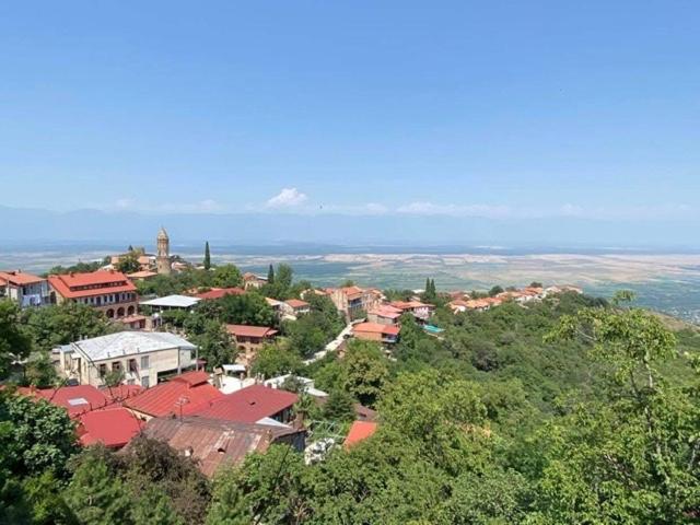 una ciudad en la cima de una colina con techos rojos en Dzveli Ubani, en Signagi