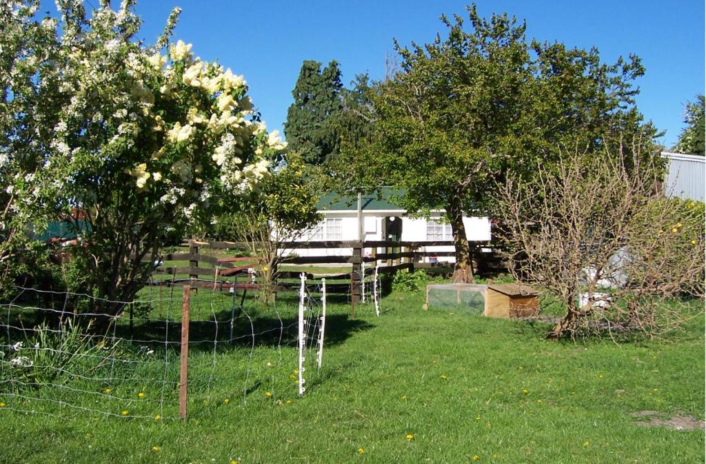 Wacky Stays - unique farm-stay glamping rentals, FREE animal feeding tours - Resim 41