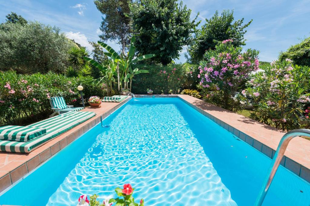a swimming pool with two chaise lounges in a garden at Appia Antica Cottage in Rome