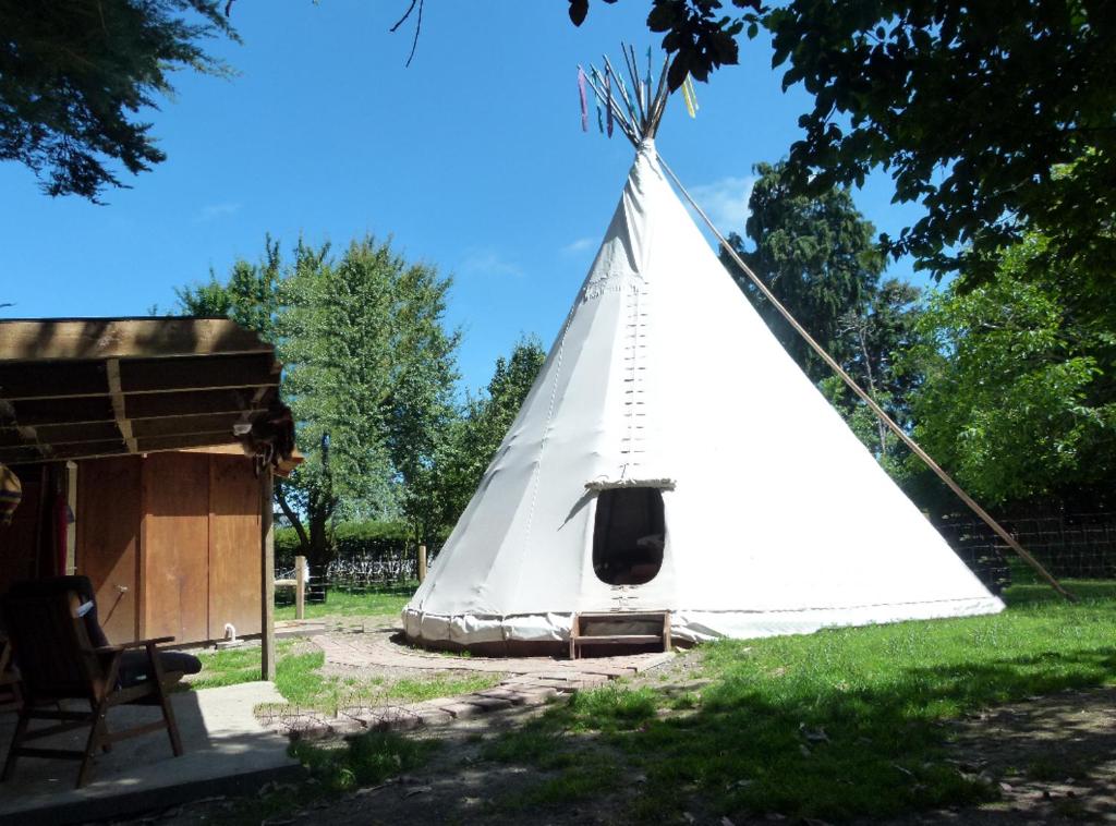 Wacky Stays - unique farm-stay glamping rentals, FREE animal feeding tours - Resim 14