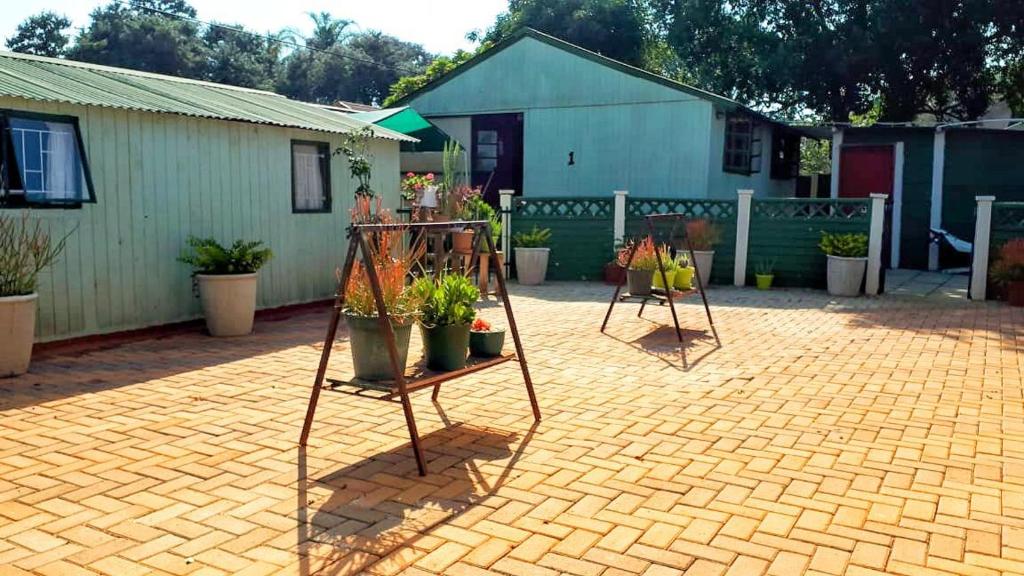 ポロクワネにあるThe Cottage Polokwaneの煉瓦造りの中庭に鉢植えの植物を展示