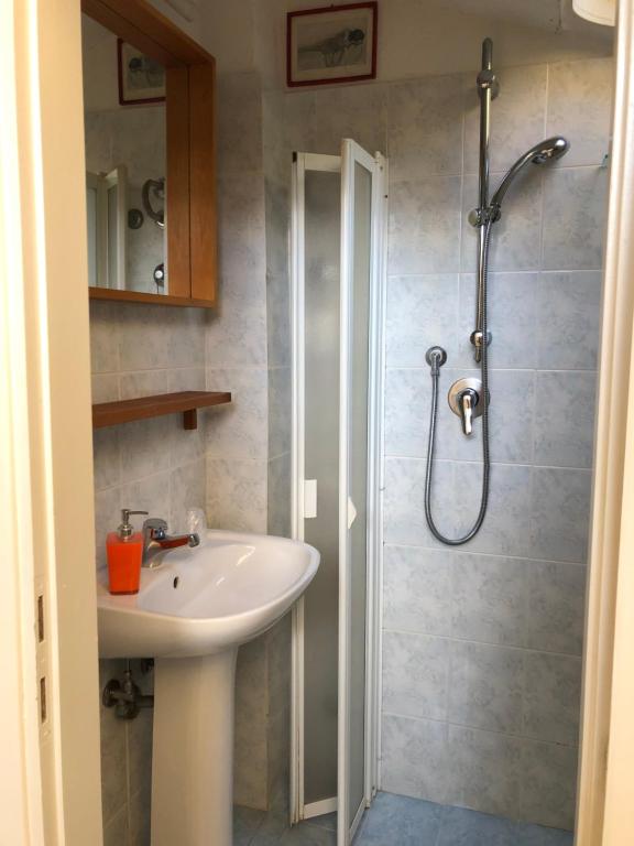 トッレ・デル・ラーゴ・プッチーニにあるCAFFELETTI friendly B&Bの洗面台とシャワー付きのバスルーム