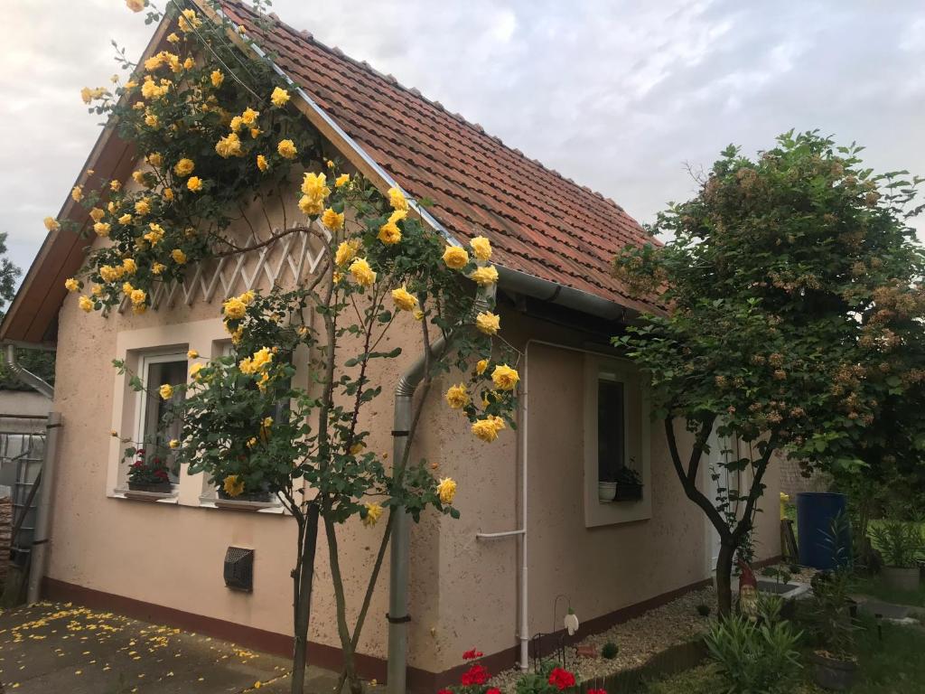 Una casa con flores amarillas a un lado. en Guest House Rózsakert en Egerszalók