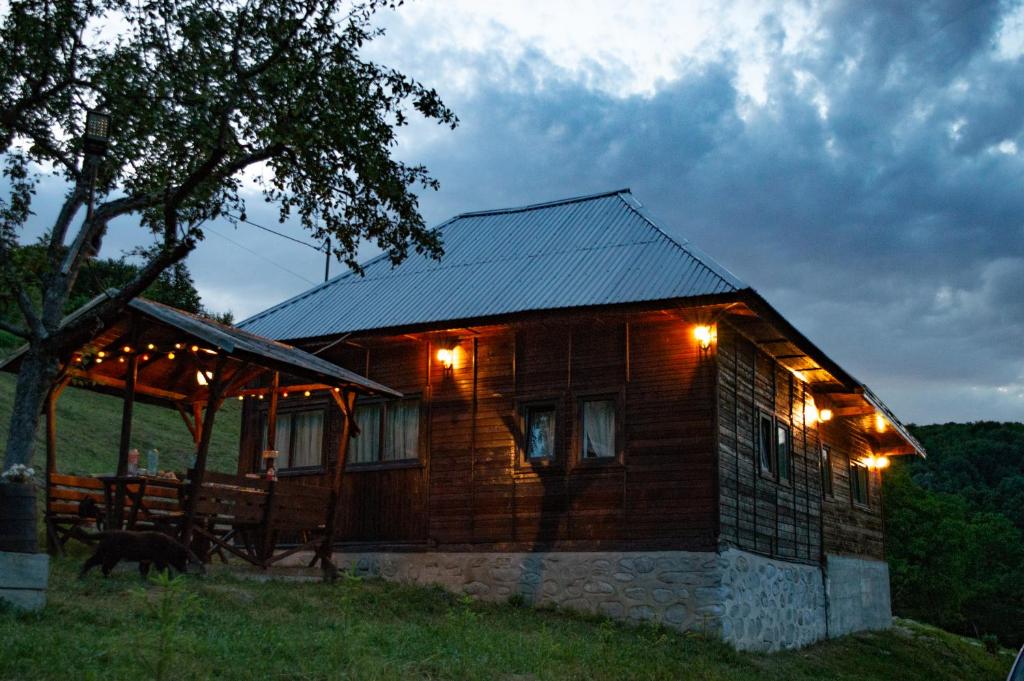 a wooden cabin with lights on the side of it at Cabana Valea lui Maș in Robaia
