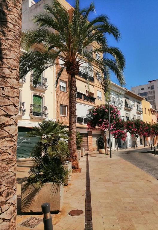 Rio Serpis Apartment económico, Gandia, Gandía – Updated 2023 ...