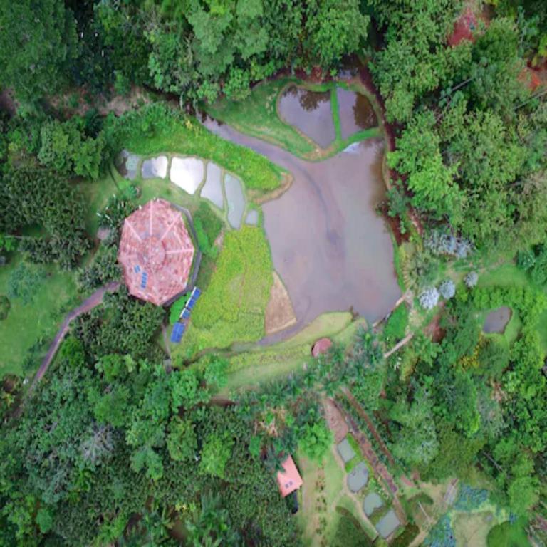 Letecký snímek ubytování Macaw Lodge