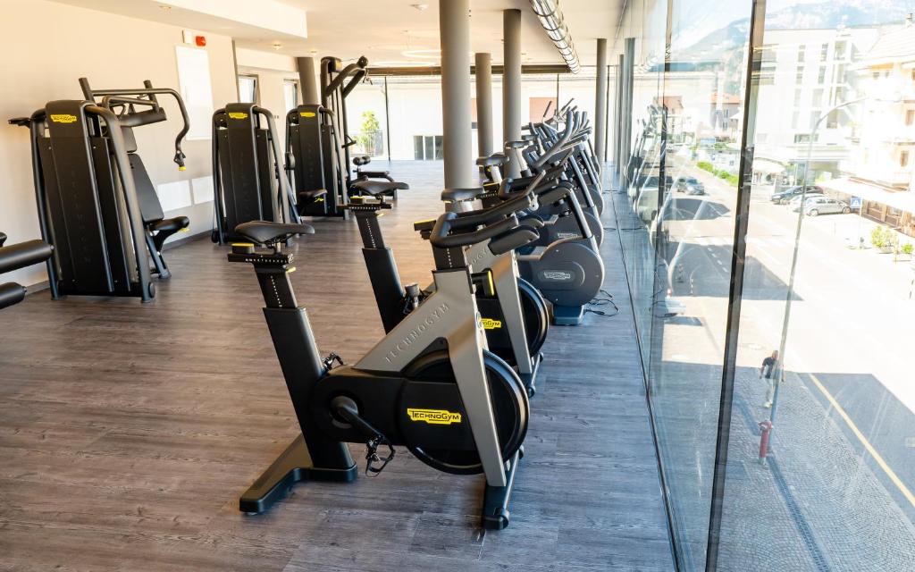 Fitness centrum a/nebo fitness zařízení v ubytování Hotel Ideal Park
