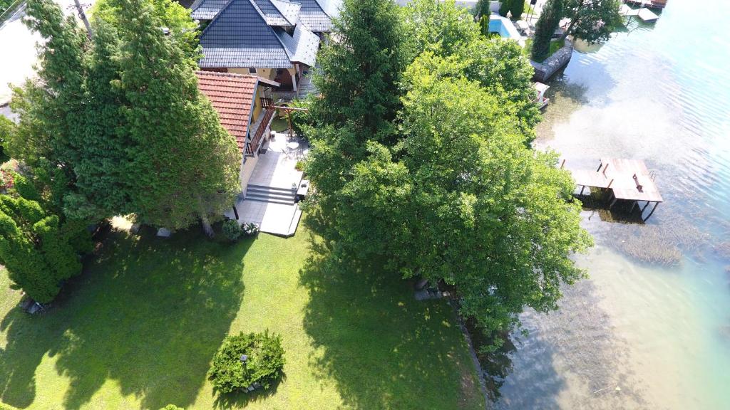 an aerial view of a house with trees next to the water at Kuća Dragović in Voljevci