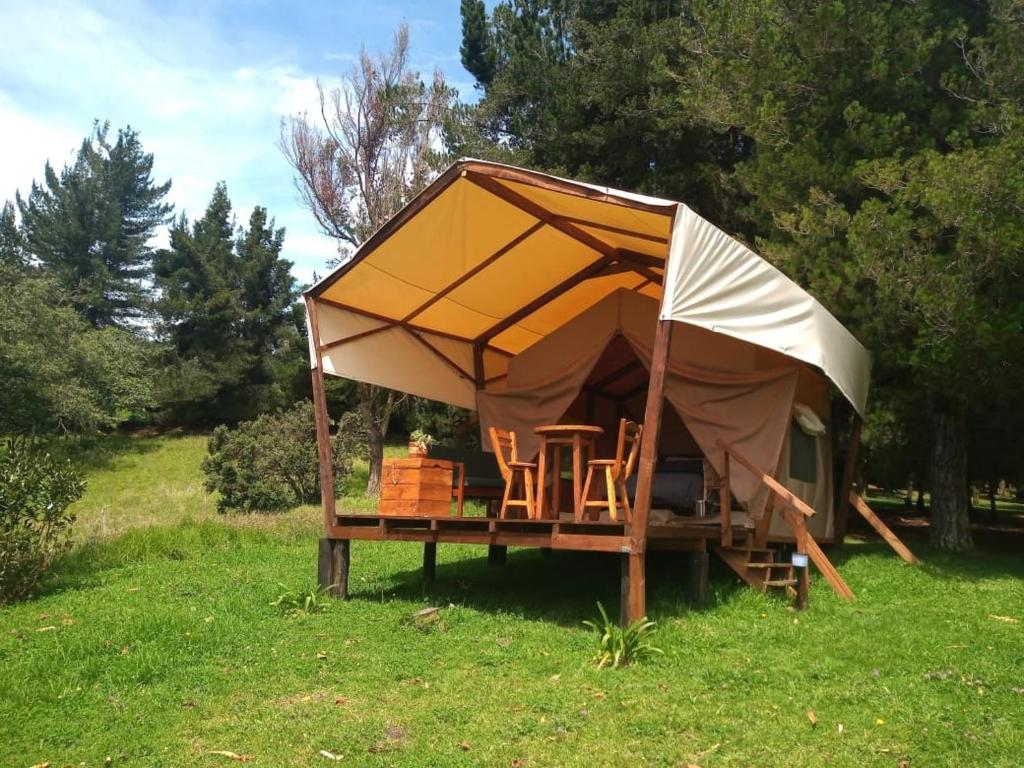 a tent with chairs in a field of grass at Glamping Verde 360 in Guasca