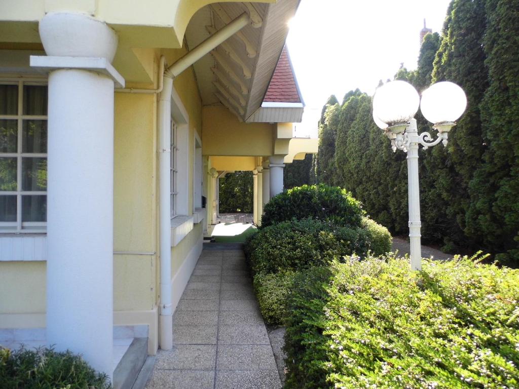 Zahrada ubytování Millennium Villa