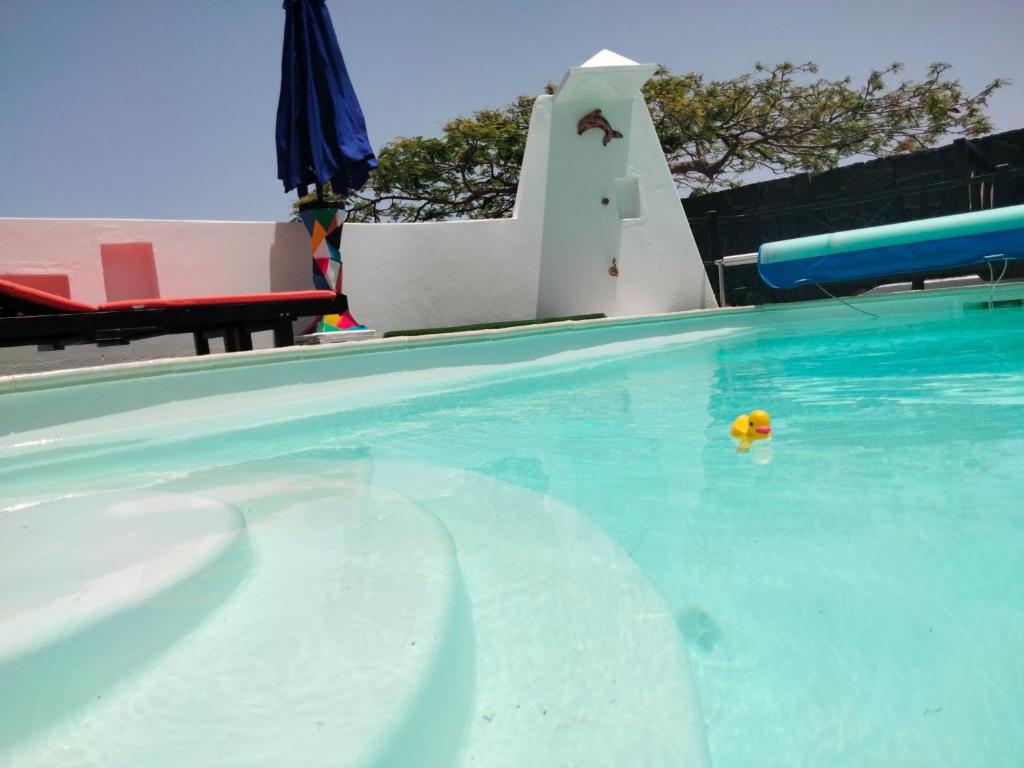 Bazén v ubytování Aptos con piscina El Flamboyán 1 nebo v jeho okolí