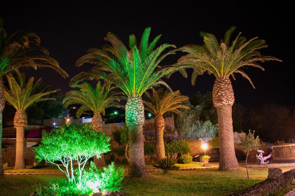 a group of palm trees lit up at night at Hotel Villa Rita in Ischia