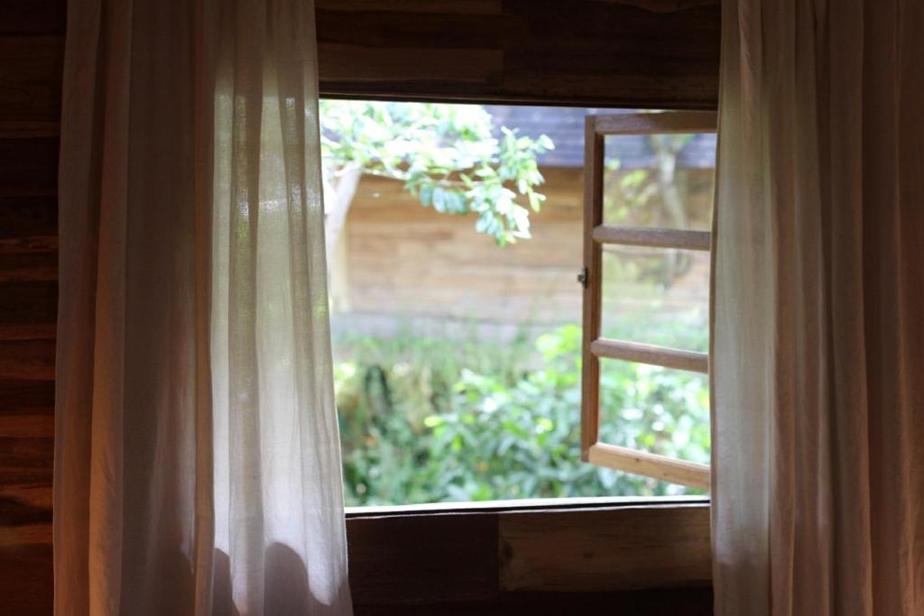 Roots Tree House - 11