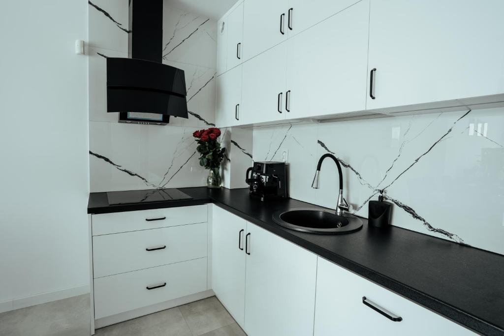 Kuchyň nebo kuchyňský kout v ubytování Apartamenty Z Widokiem Na Mazury Jezioro Czos Sauna Jacuzzi