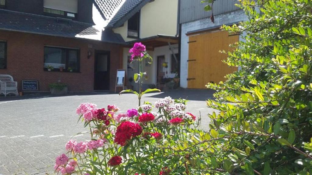 a bunch of flowers in front of a building at Bauernhof Sesterhenn in Leichlingen