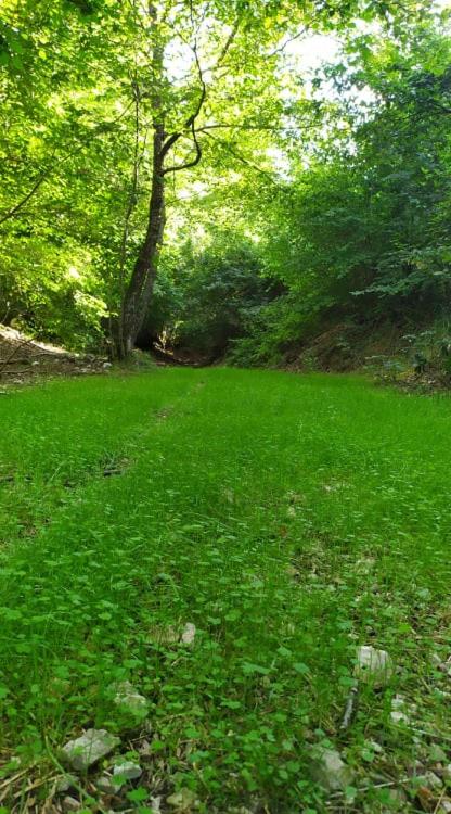 Zahrada ubytování Fonte dell'Aria
