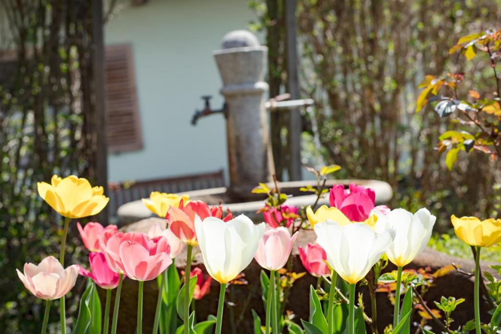 Zahrada ubytování Hotel Garni Wieshof