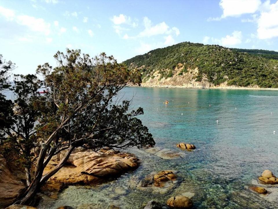 un cuerpo de agua con un árbol en la orilla en Costa vacanze in low cost - IUN P2923 en Villaputzu