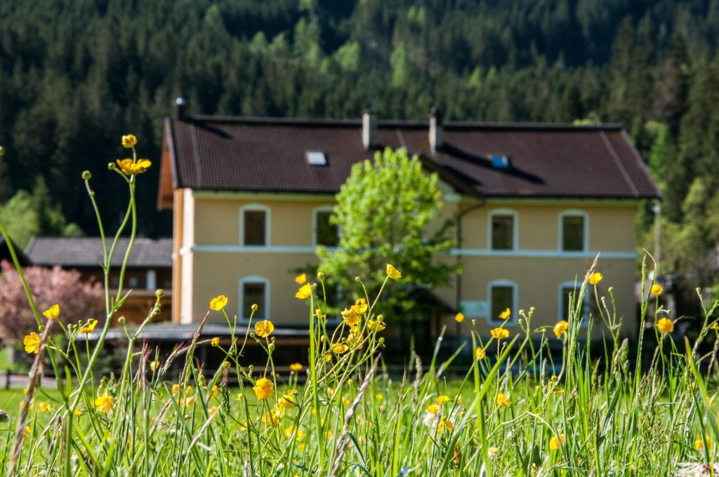 una casa in mezzo a un campo con dei fiori di Gabis Lodge a Krimml