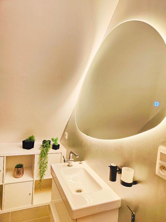 Fotografie z fotogalerie ubytování Le duplex d'Albert logement d'exception à Namur v destinaci Namur