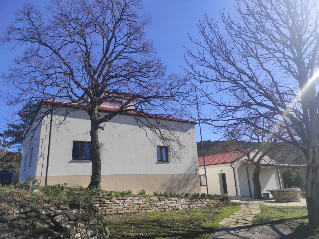 ein weißes Haus mit einem Baum davor in der Unterkunft Park Istra holiday home in Koper