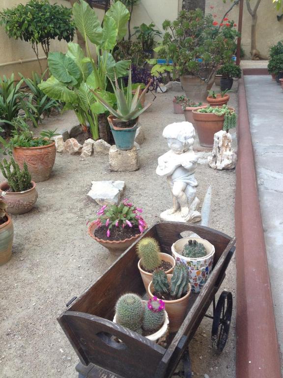 Hotel Anastasia - 18