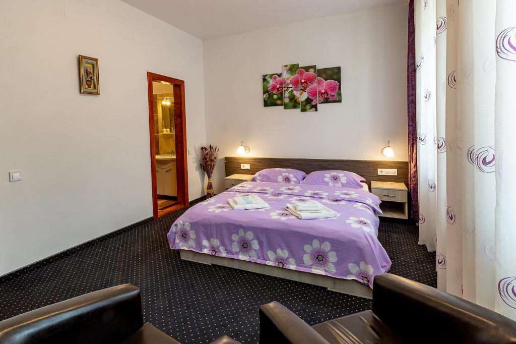 Casa Steluta - Apartamento Estándar