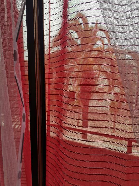 - une vue sur une fenêtre avec un chien dans l'établissement Casa Glorioso, à Santa Ninfa