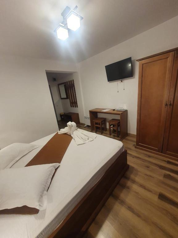 TV a/nebo společenská místnost v ubytování Casa Vlad